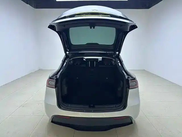 Tesla Model Y — Фото автомобиля 15