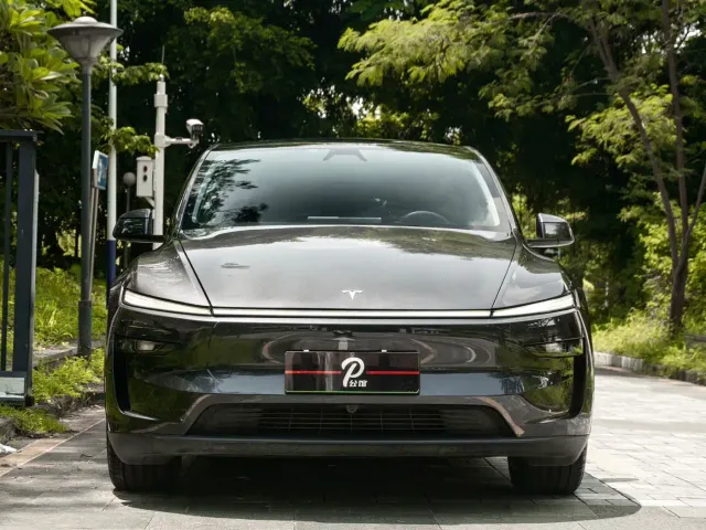 Tesla Model Y — Фото автомобиля 2