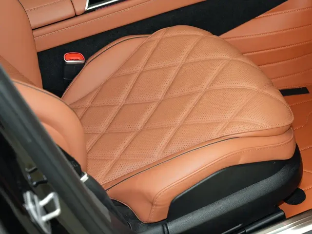 Mercedes-Benz Maybach S-Class — Фото автомобиля 22