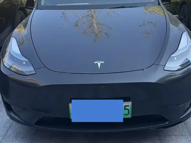 Tesla Model Y — Фото автомобиля 3