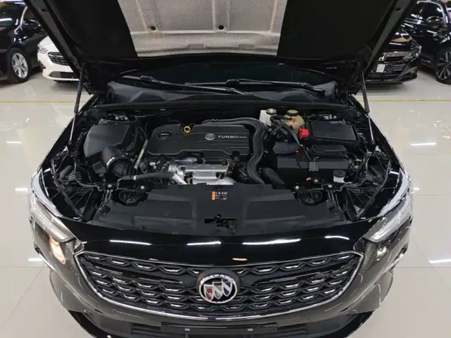 Buick Regal — Фото автомобиля 19
