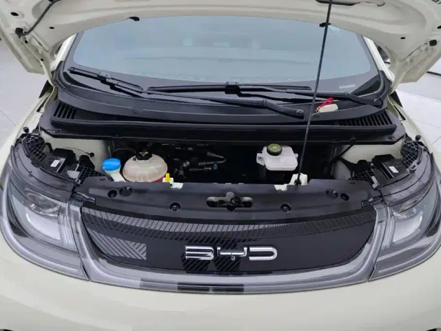 BYD Dolphin — Фото автомобиля 10