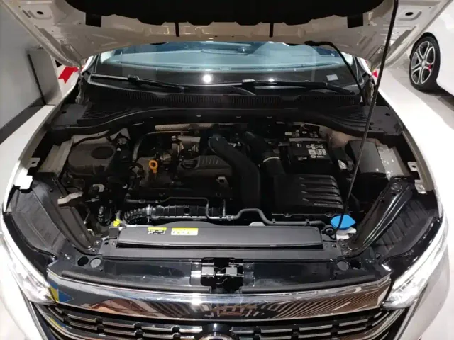 Volkswagen Sagitar — Фото автомобиля 19