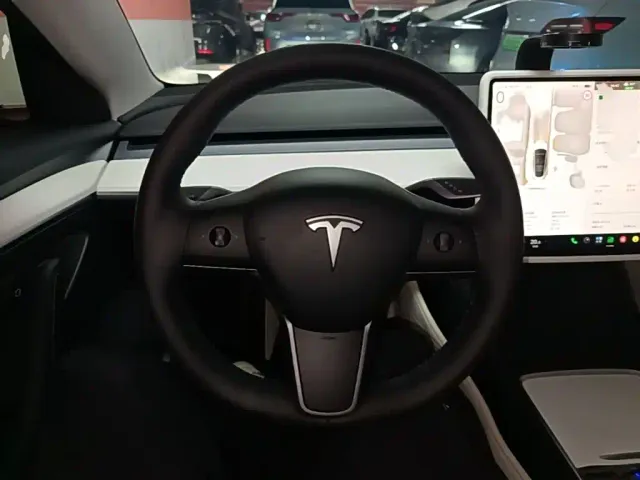 Tesla Model 3 — Фото автомобиля 10