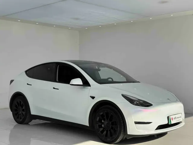 Tesla Model Y — Фото автомобиля 2