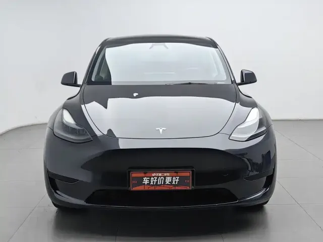 Tesla Model Y — Фото автомобиля 3