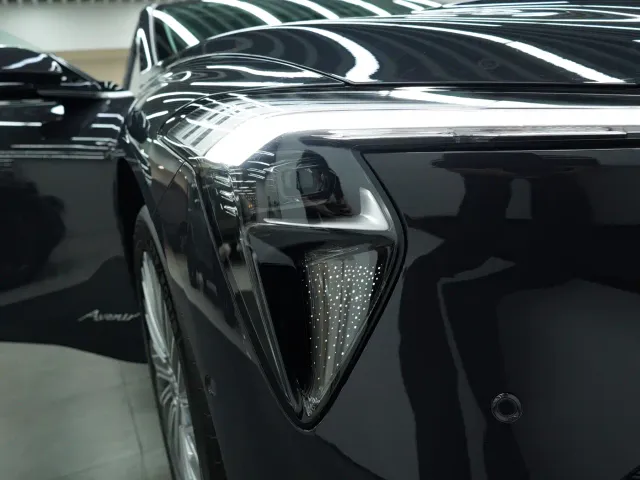 Buick Electra L7 — Фото автомобиля 22