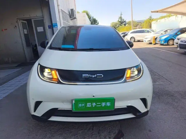 BYD Dolphin — Фото автомобиля 2