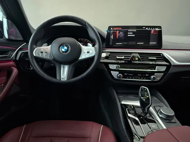 BMW 5 Series — Фото автомобиля 10