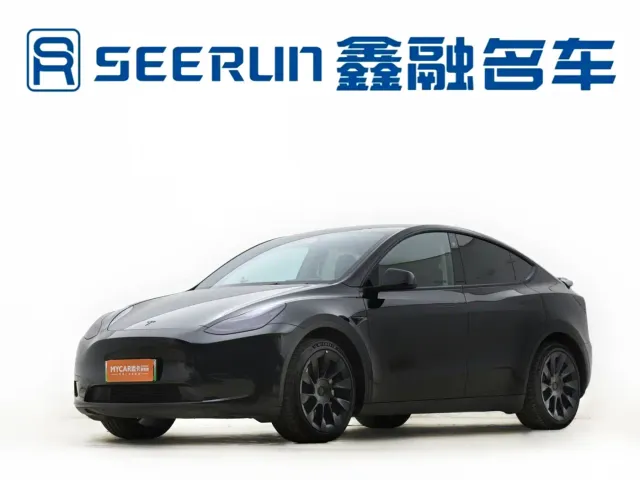 Tesla Model Y — Фото автомобиля 18