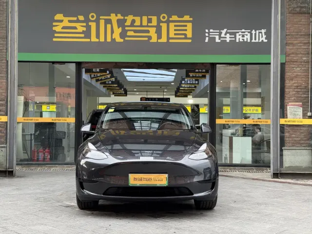 Tesla Model Y — Фото автомобиля 2