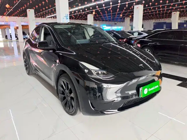 Tesla Model Y — Фото автомобиля 3