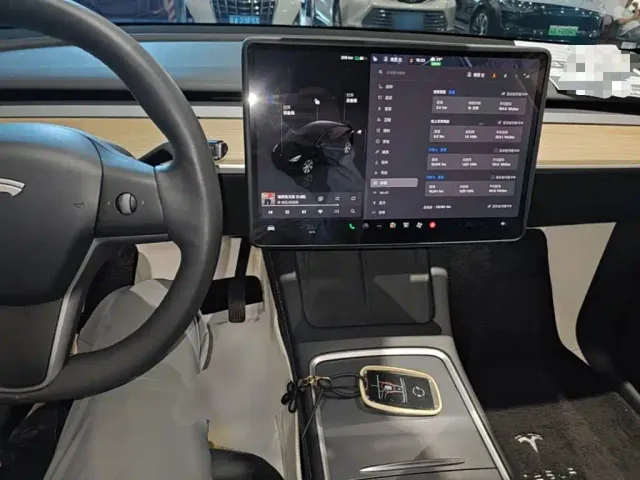 Tesla Model Y — Фото автомобиля 9