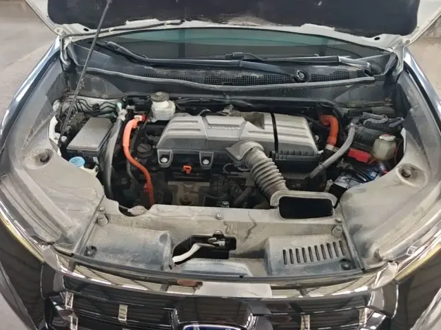 Honda Elysion — Фото автомобиля 15