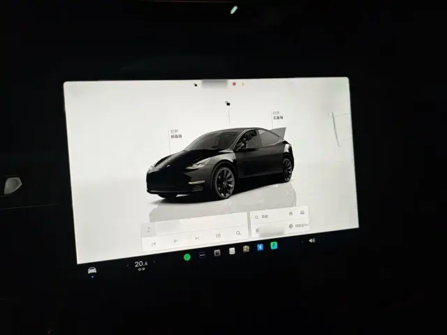 Tesla Model Y — Фото автомобиля 3