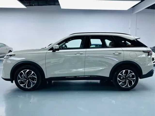 Haval Xiaolong MAX — Фото автомобиля 12