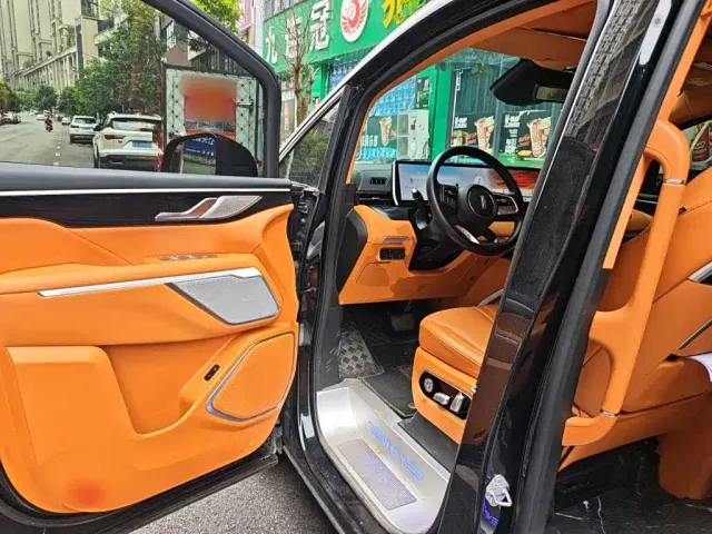 Wey Alpine — Фото автомобиля 12