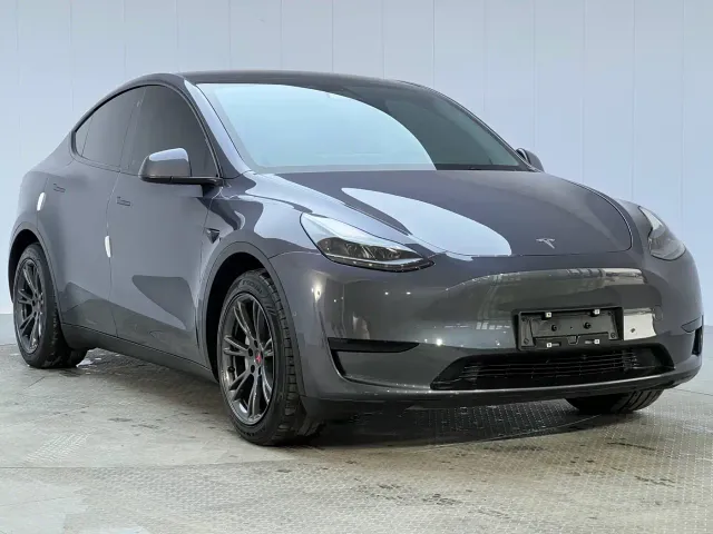 Tesla Model Y — Фото автомобиля 3