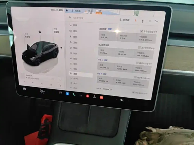 Tesla Model Y — Фото автомобиля 12