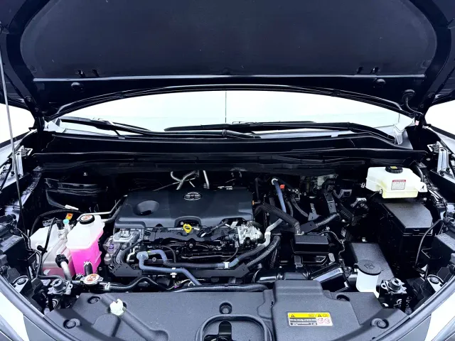 Toyota Sienna — Фото автомобиля 11
