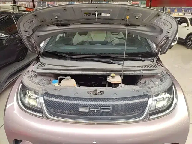 BYD Dolphin — Фото автомобиля 19
