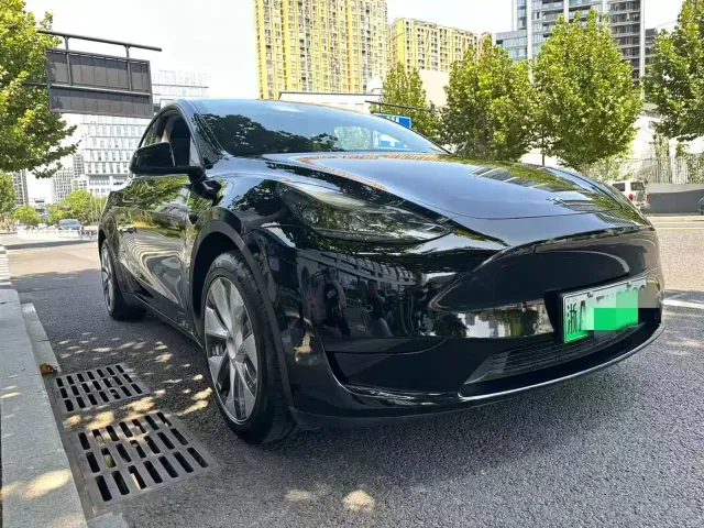 Tesla Model Y — Фото автомобиля 2