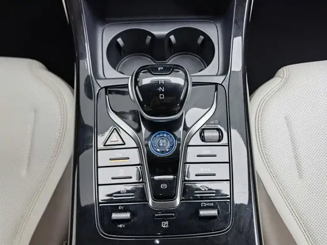BYD Qin PLUS — Фото автомобиля 13