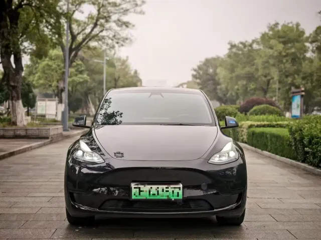 Tesla Model Y — Фото автомобиля 2