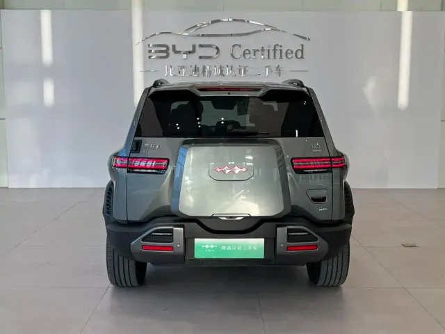 BYD FangChengBao Titanium 3 — Фото автомобиля 4