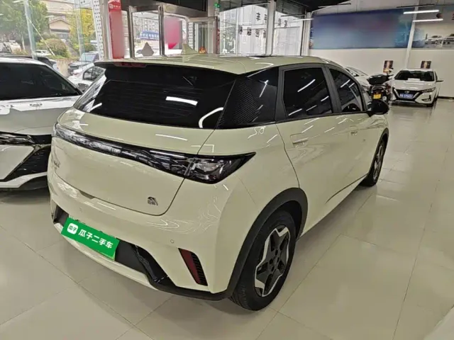BYD Dolphin — Фото автомобиля 6