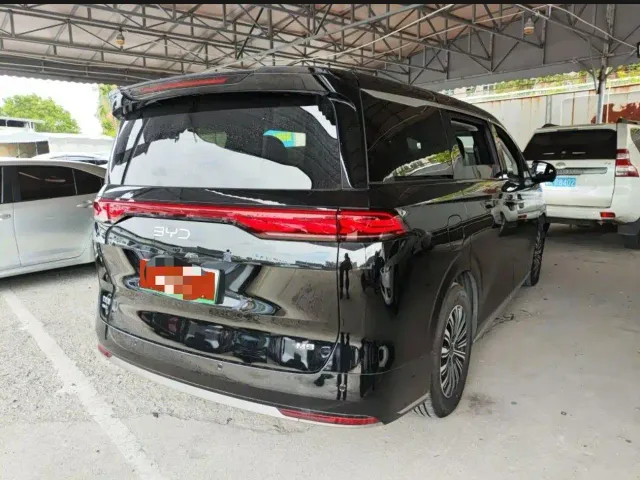 BYD M9 — Фото автомобиля 9