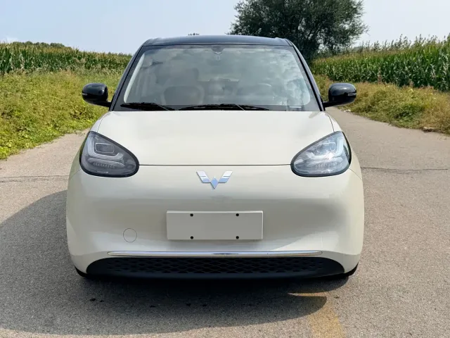 Wuling Motors Wuling Bingo 2023 333km Joyful Version — Фото автомобиля 2