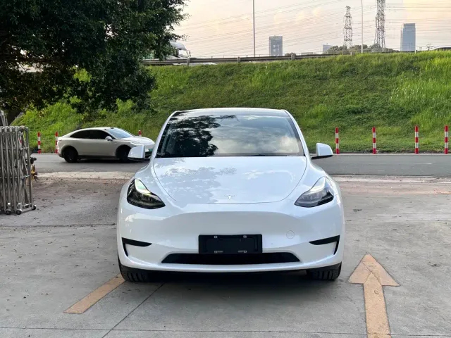 Tesla Model Y — Фото автомобиля 2