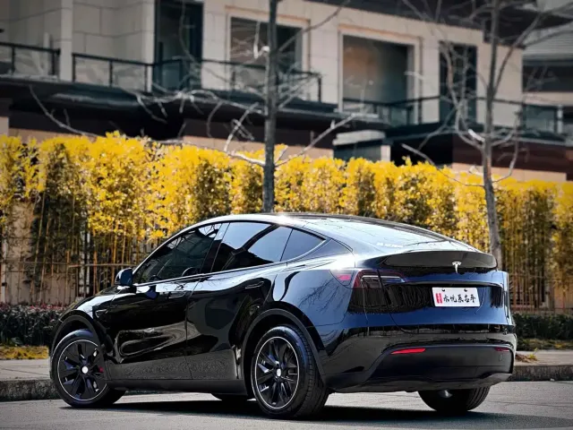 Tesla Model Y — Фото автомобиля 11
