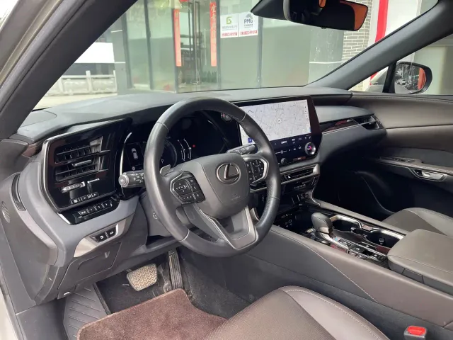 Lexus RX — Фото автомобиля 18