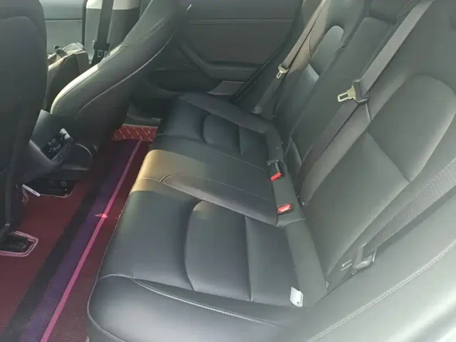 Tesla Model 3 2021 Standard Range Rear-Wheel Drive Upgrade 3D6 — Фото автомобиля 16
