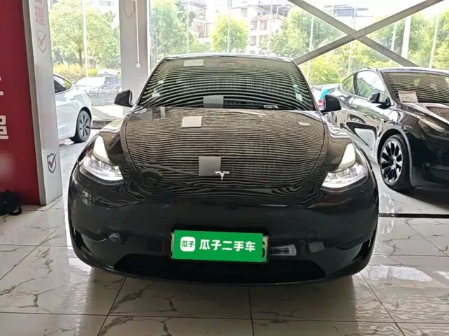 Tesla Model Y — Фото автомобиля 2