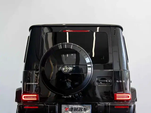 Mercedes-Benz G-Class AMG — Фото автомобиля 16