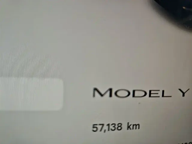 Tesla Model Y — Фото автомобиля 11
