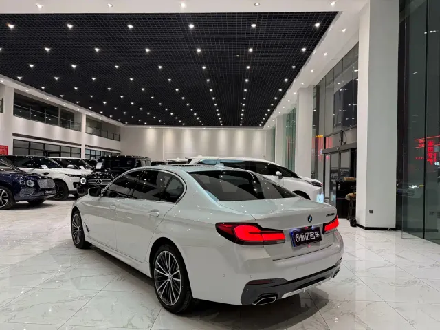 BMW 5 Series — Фото автомобиля 19