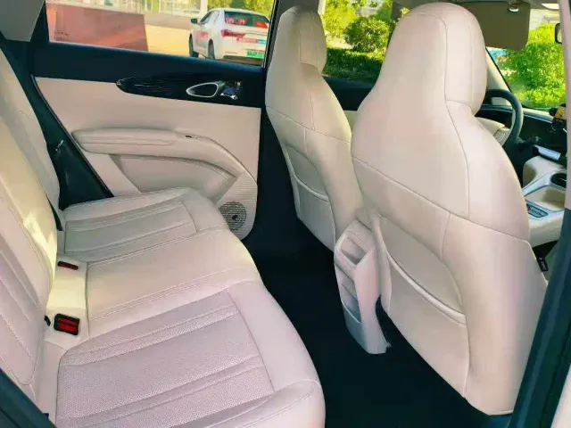 Geely Starry Wish — Фото автомобиля 7