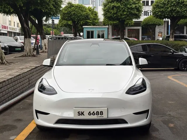 Tesla Model Y — Фото автомобиля 2