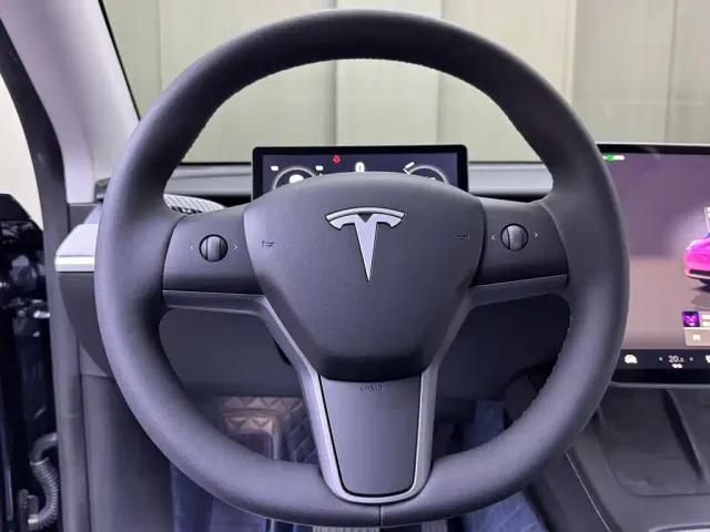 Tesla Model Y — Фото автомобиля 11