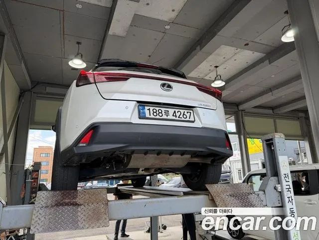 Lexus UX UX250h — Фото автомобиля 2