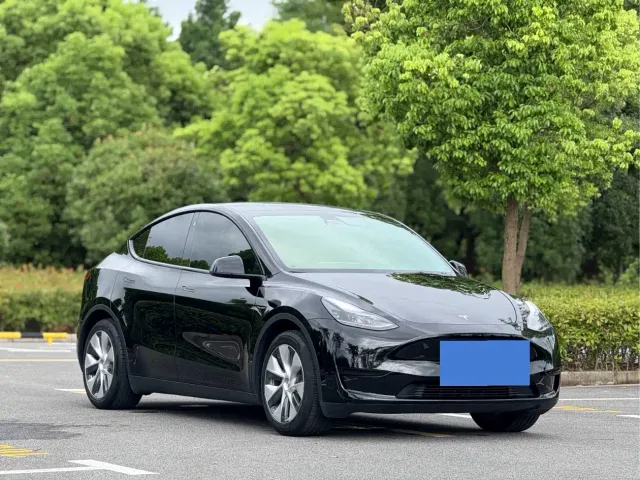 Tesla Model Y — Фото автомобиля 3