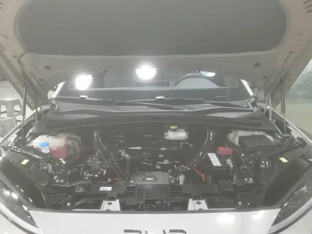 BYD Song PLUS — Фото автомобиля 10
