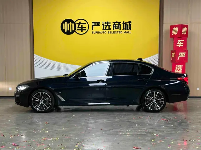 BMW 5 Series — Фото автомобиля 6