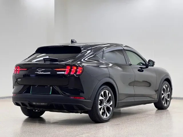 Ford Mustang Mach-E — Фото автомобиля 5