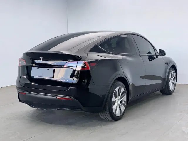 Tesla Model Y — Фото автомобиля 4