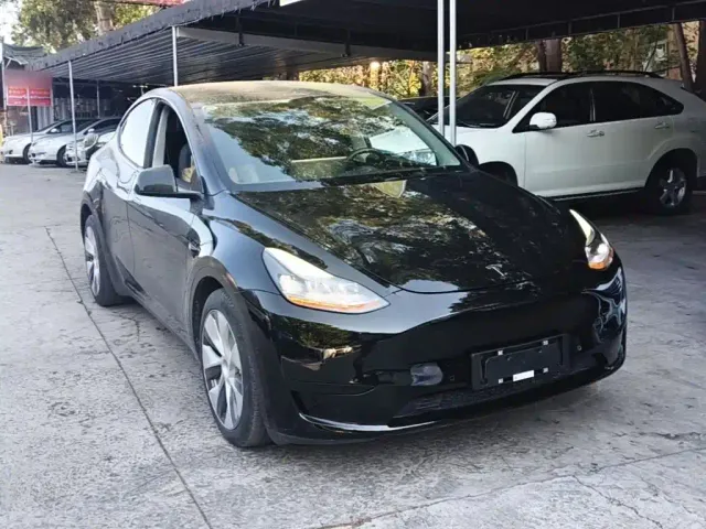 Tesla Model Y — Фото автомобиля 3